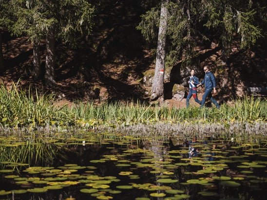Natura allo stato puro. Incastonato tra prati e boschi.