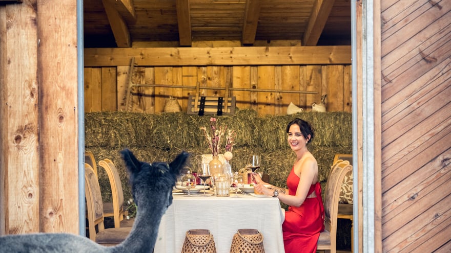 Tierisches Stadeldinner.