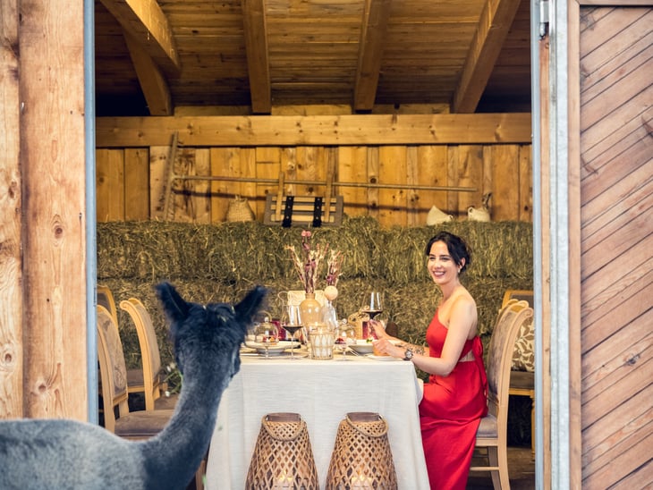 Tierisches Stadeldinner.
