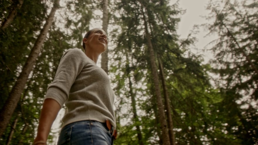 Alpine forest bathing during your mountain holidays in Italy near Merano