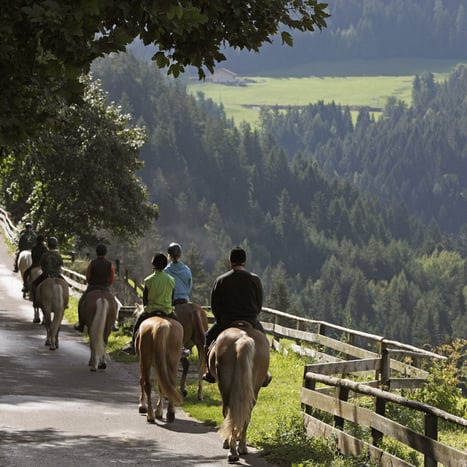 Equitazione