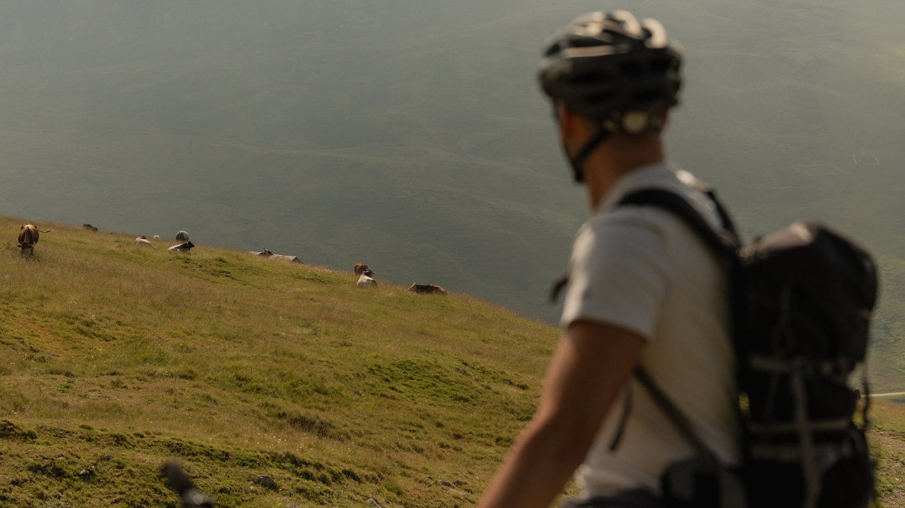 Geführte Touren und Rundum-Service