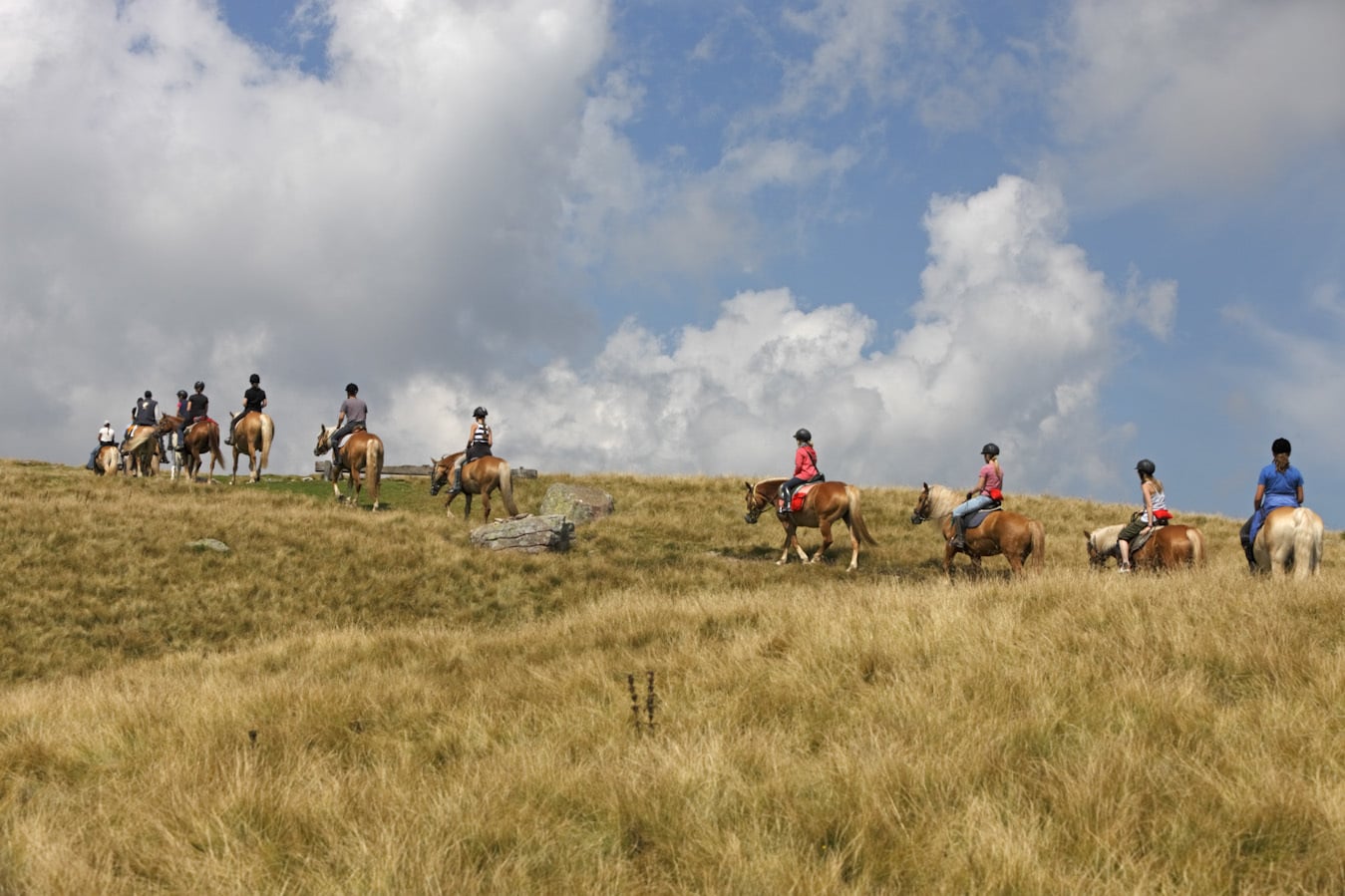 Luxury horse riding holidays in Italy