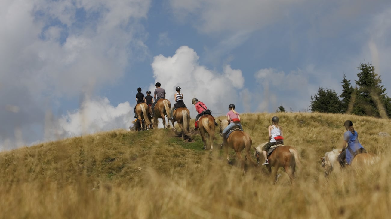Esperienze equestri nel maneggio Sulfner